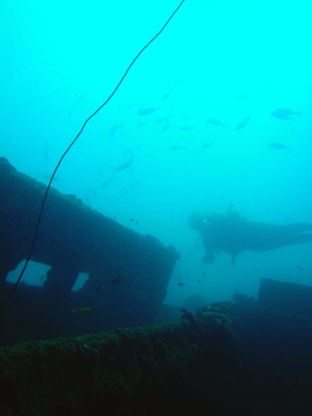 Punta Betin photo 2