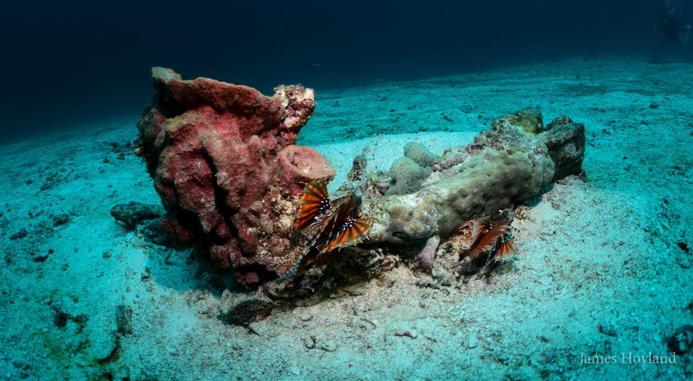 Hin Bida Reef