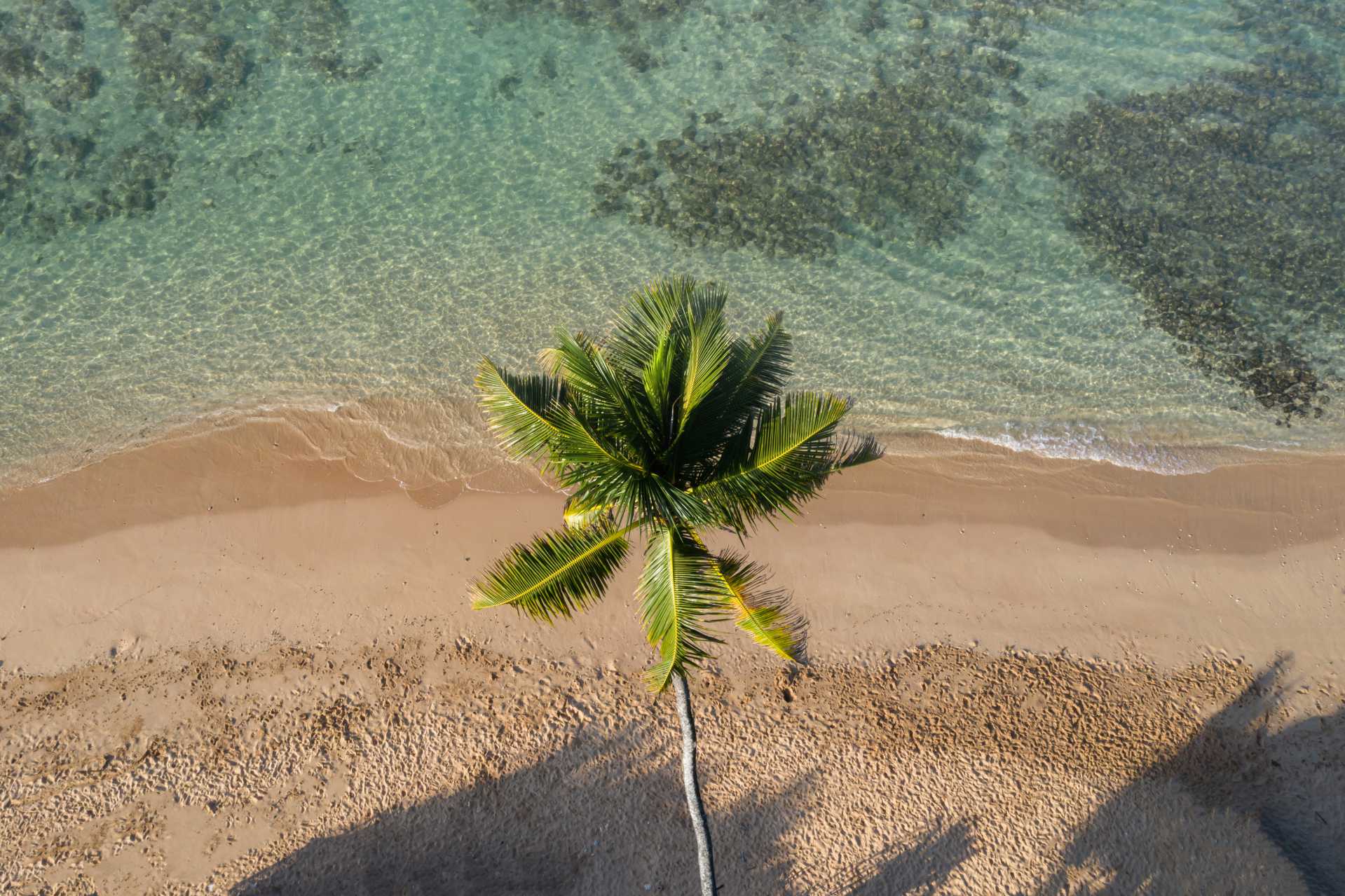 Polhena Reef