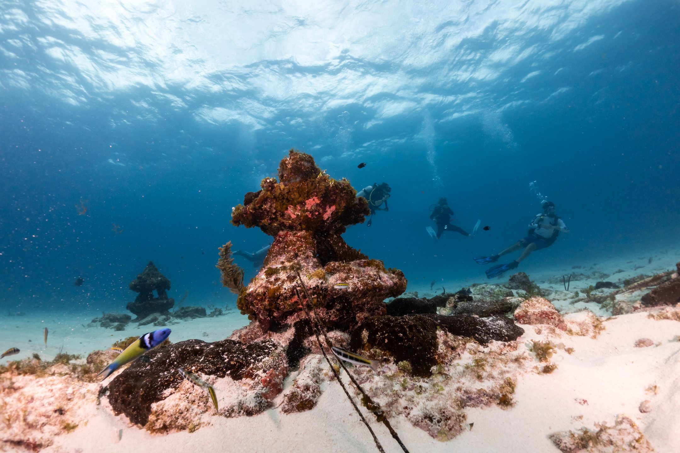 MUSA cancun underwater museum photo 6
