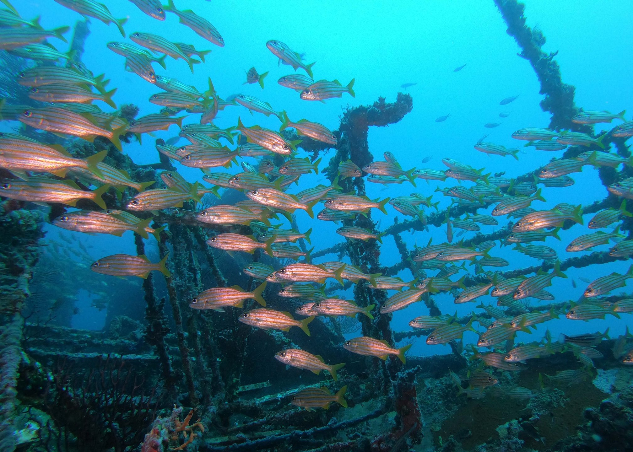 Maverick Wreck photo 3