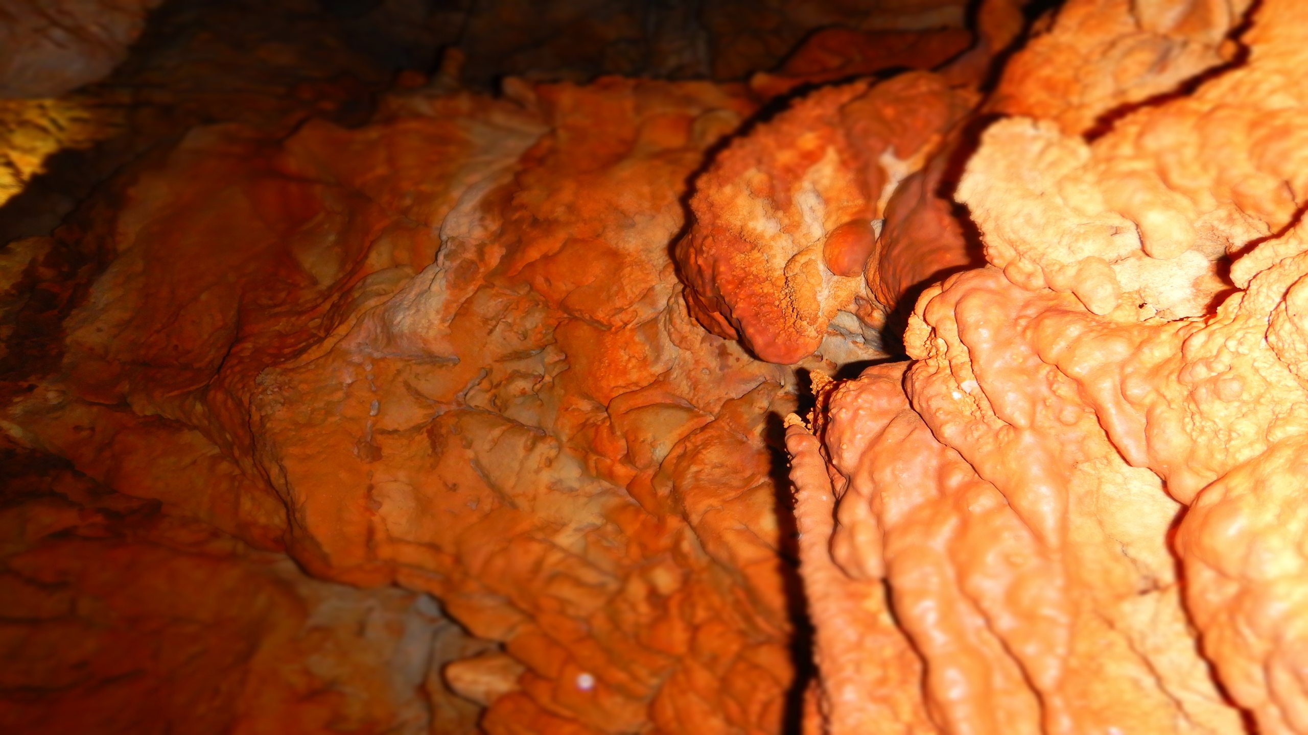 Travna photo 2