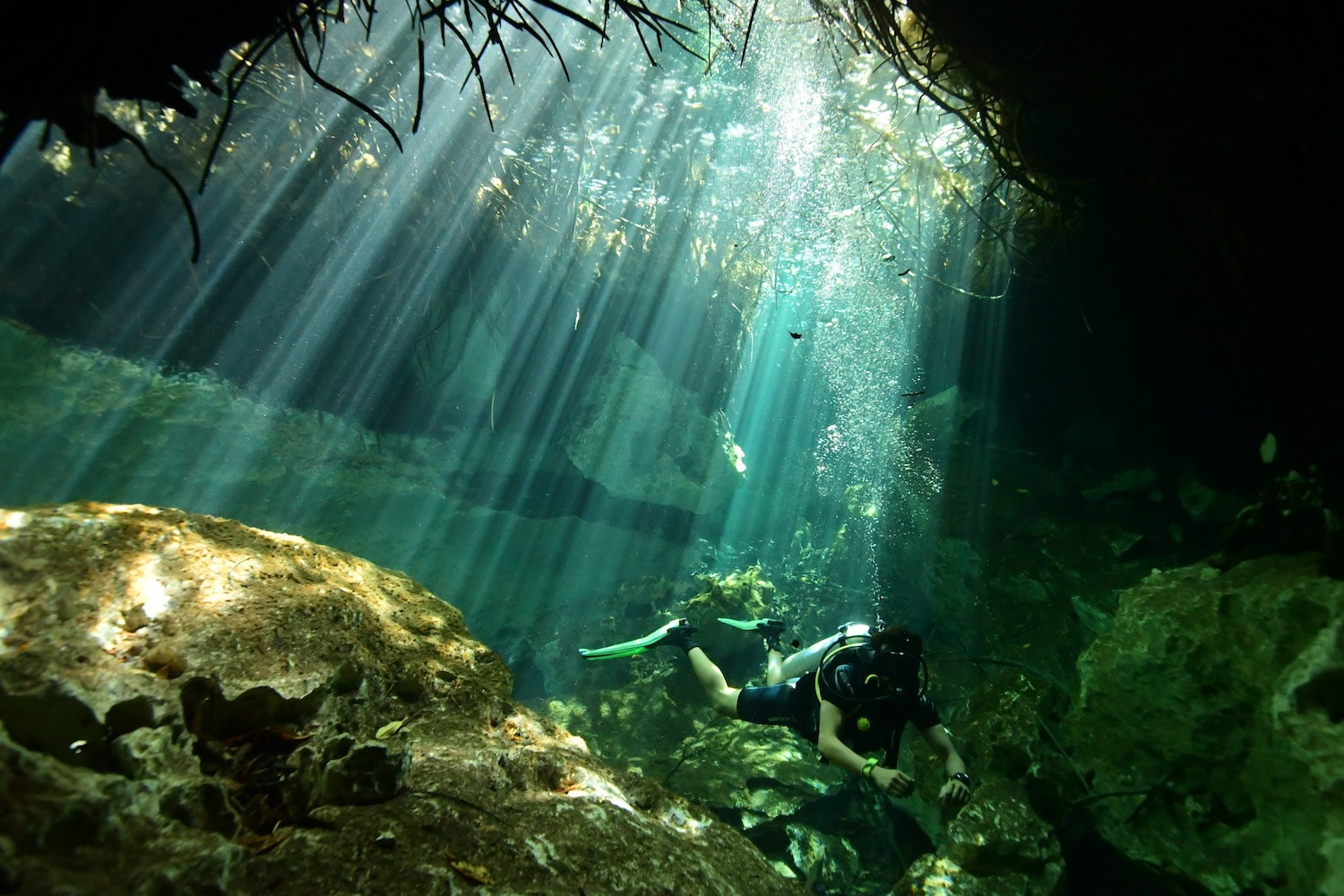 casa cenote photo 4