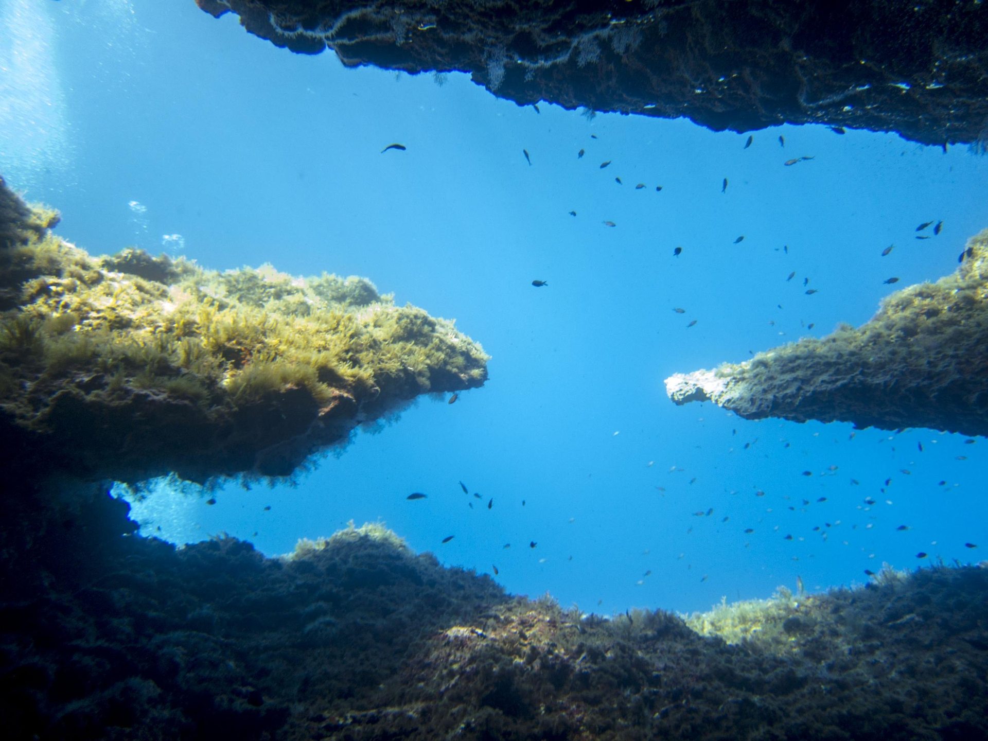 Comino Island - Santa Marija Cave photo 4