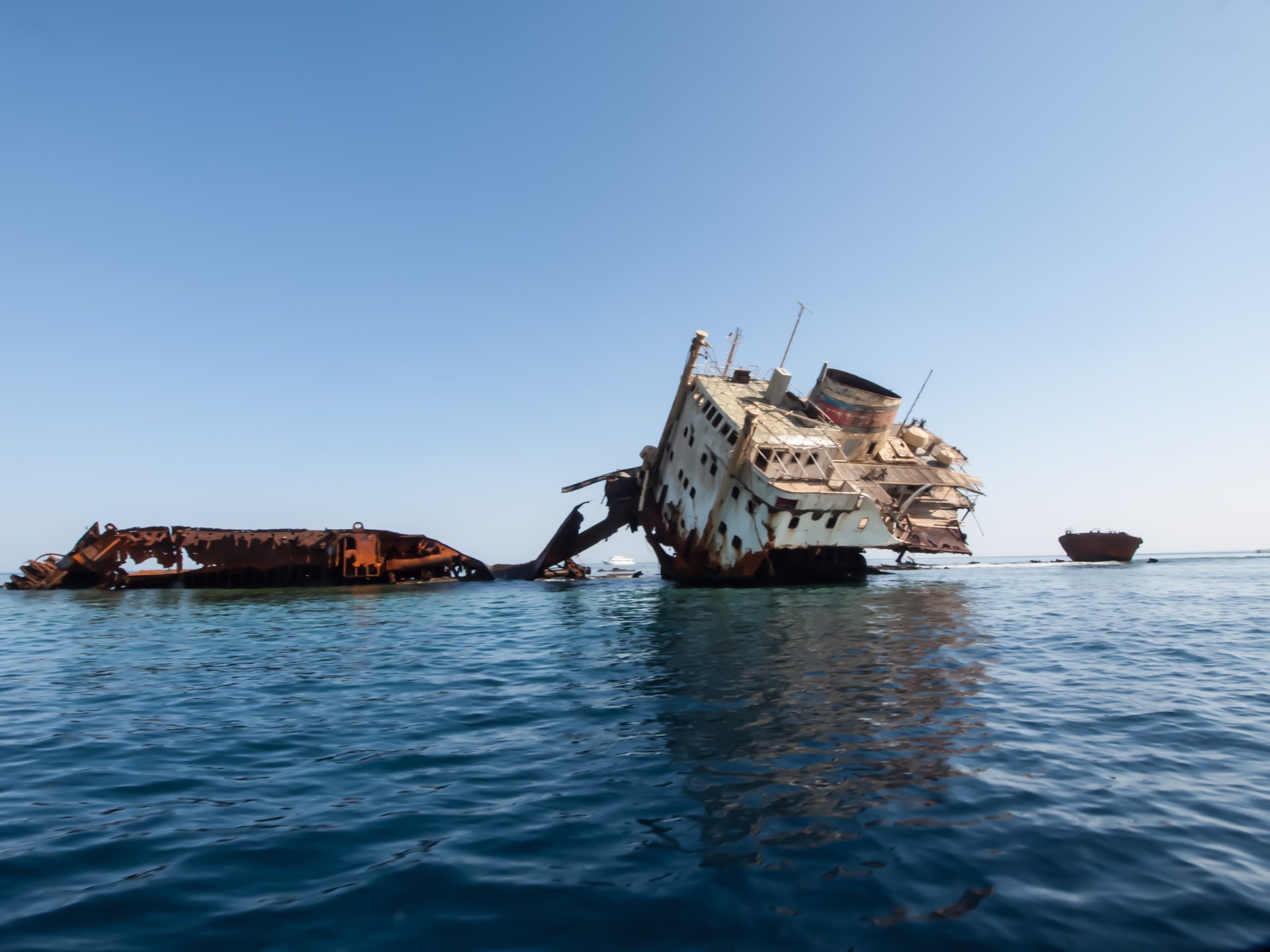 Gordon Reef - Straits of Tiran photo 3
