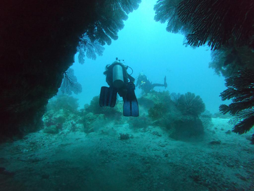 CUEVAS DE LOS CORALES