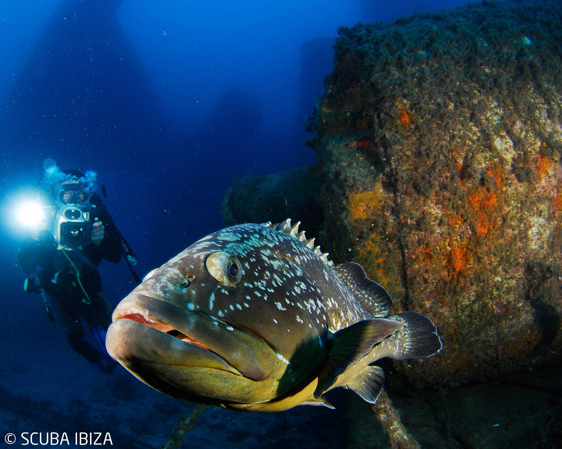 Plataforma Mariana photo 3