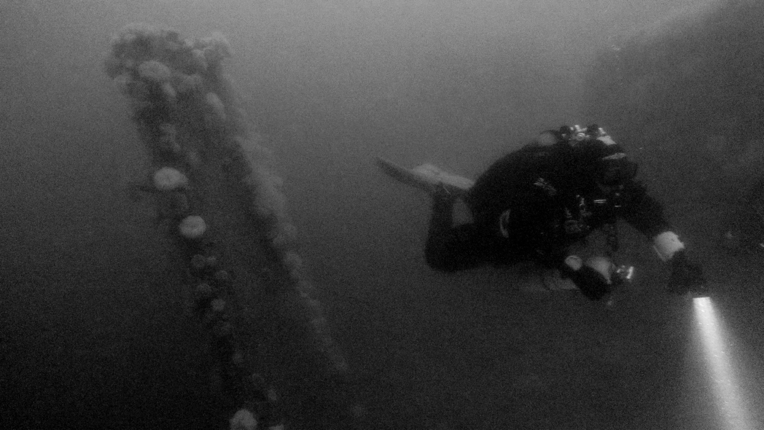 Scapa Flow photo 3