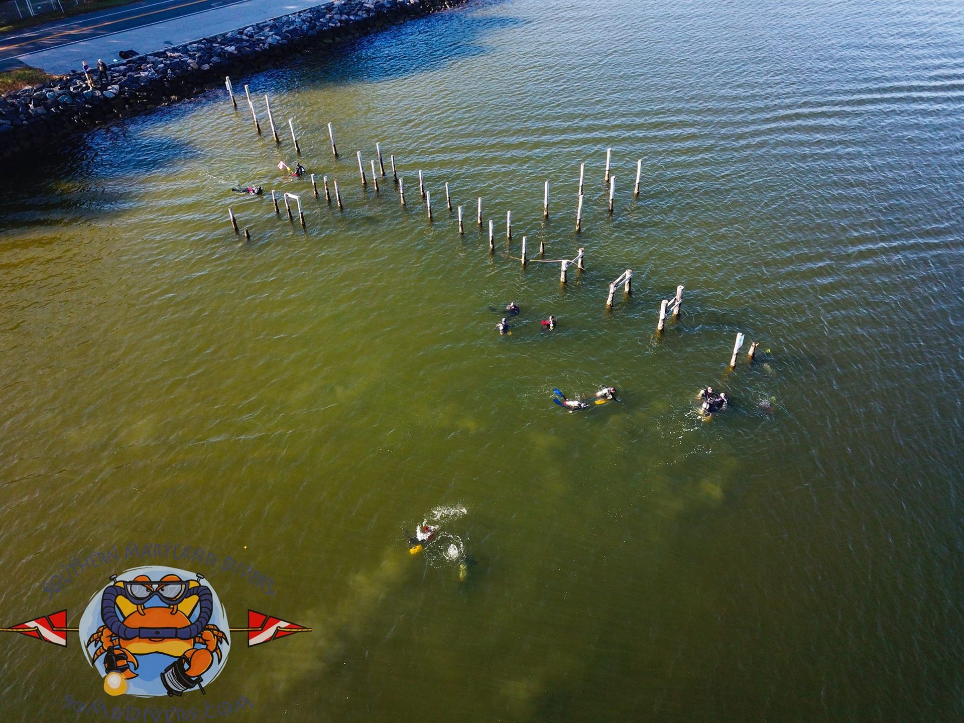 Oyster Reef photo 5