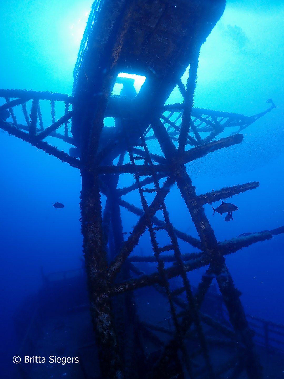 Wreck Afonso Cerqueira photo 5