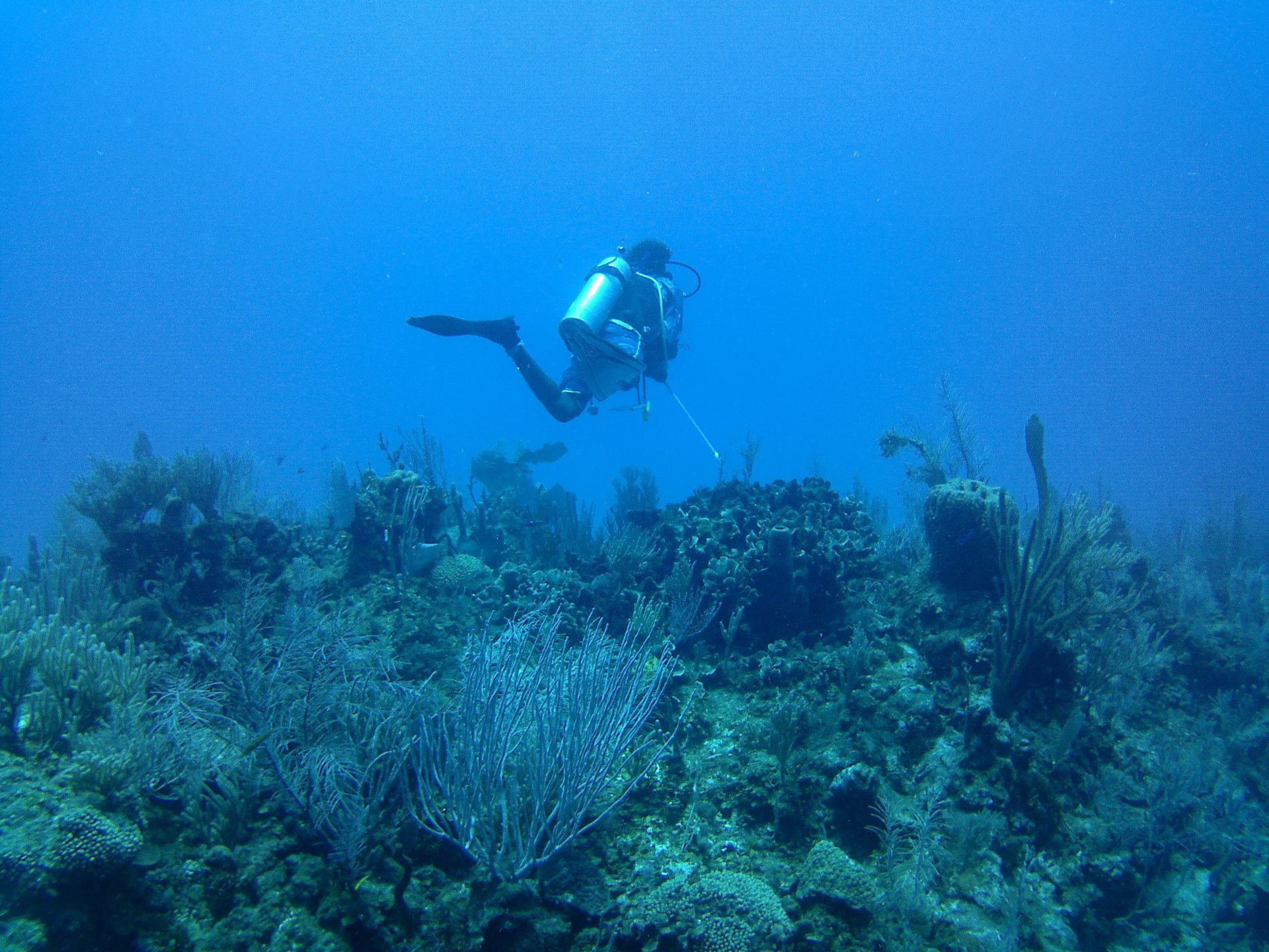 South water caye photo 2