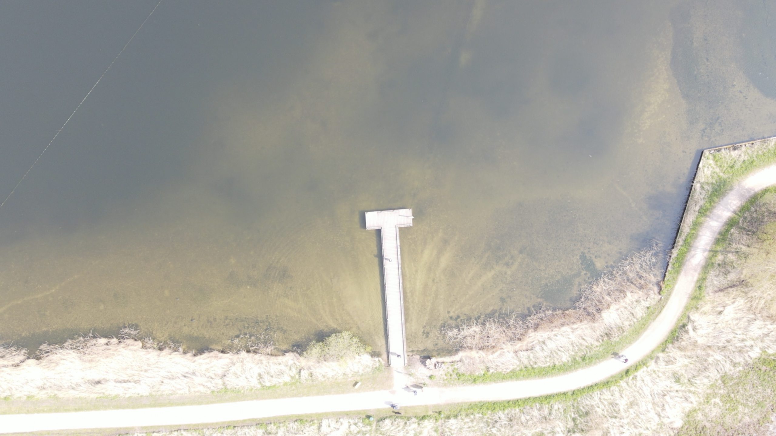 Reeuwijkse Plassen Surfplas photo 2