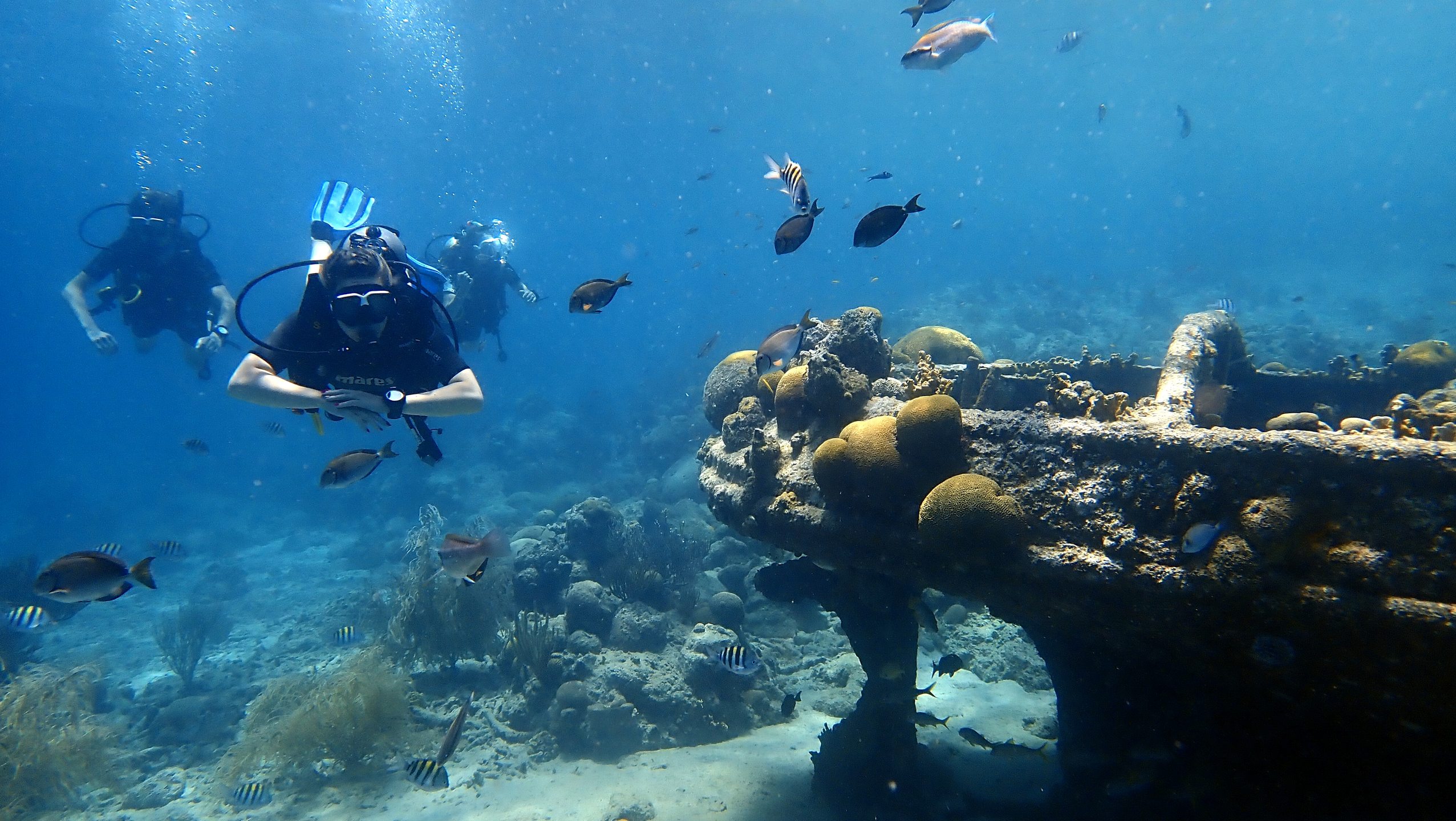 Tugboat Housereef of CURious 2 DIVE photo 6
