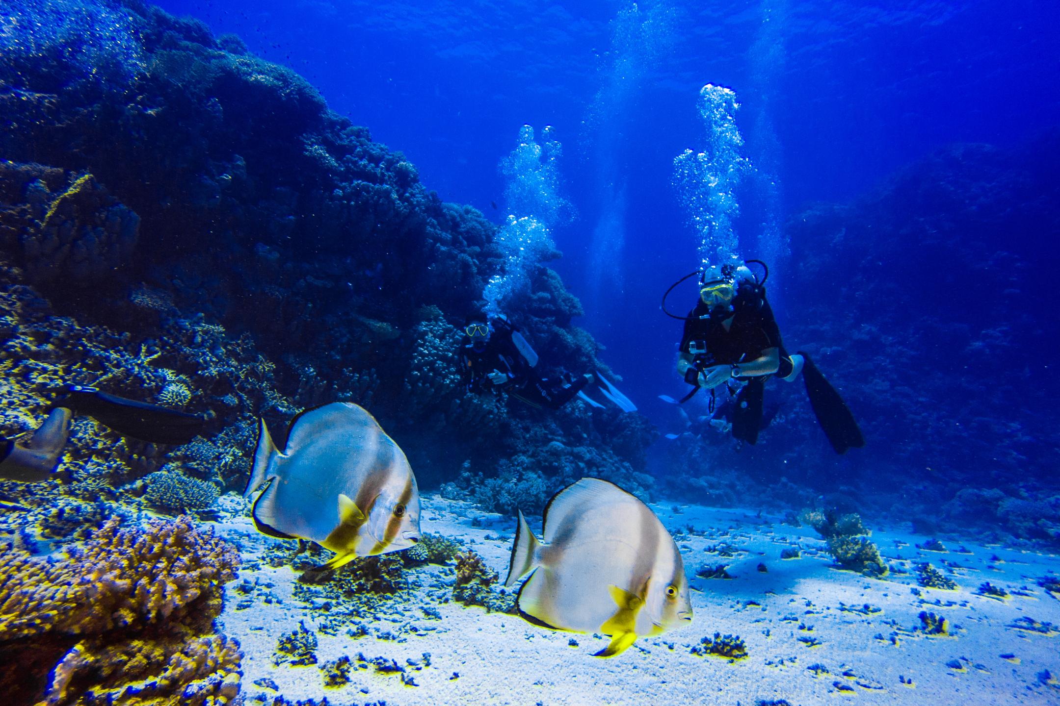 Um Halhala Divesite photo 13