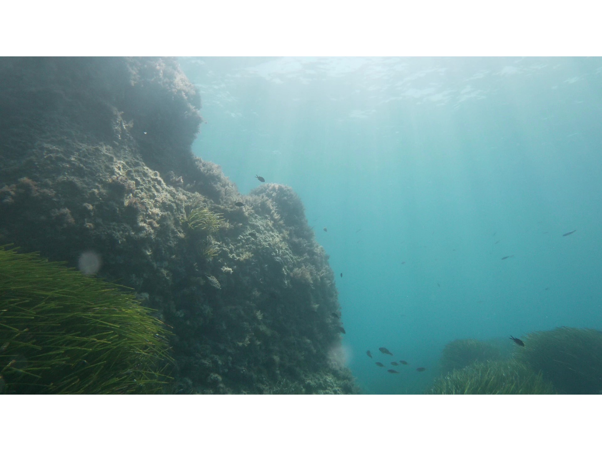 Aspro Reef photo 3