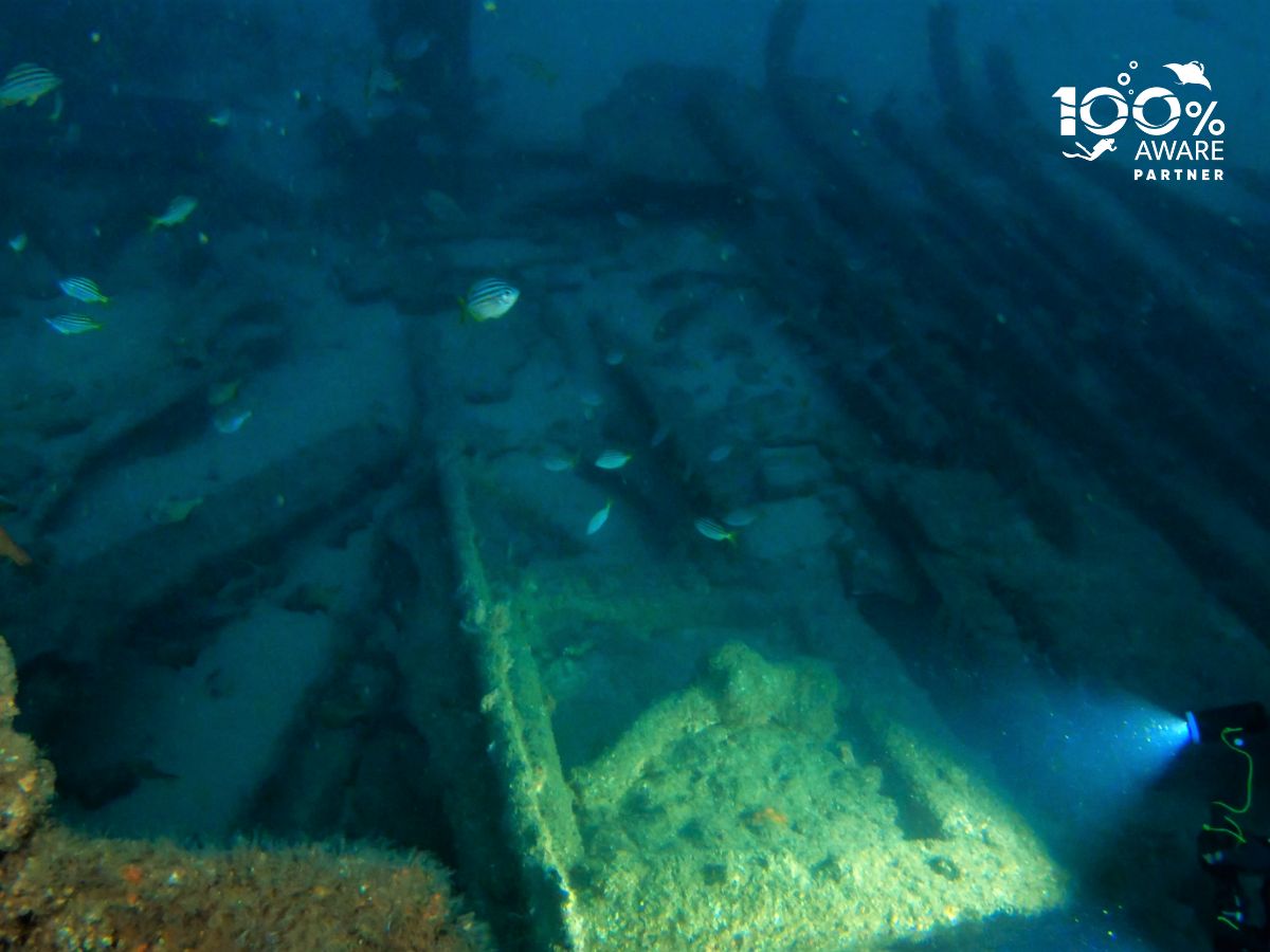 SS Tuggerah Wreck photo 5