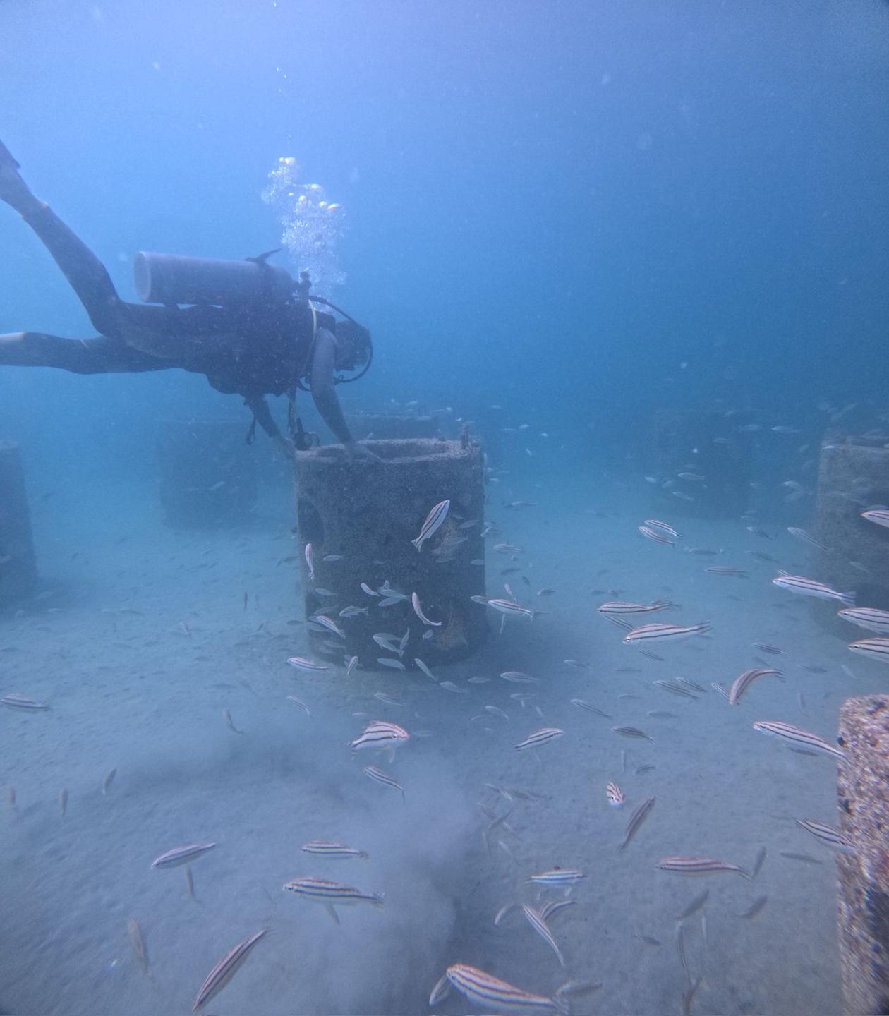 EA Artificial Reef photo 4