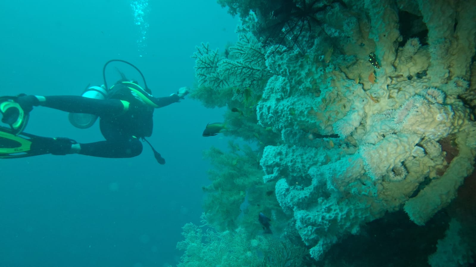 Tulang Diot photo 2