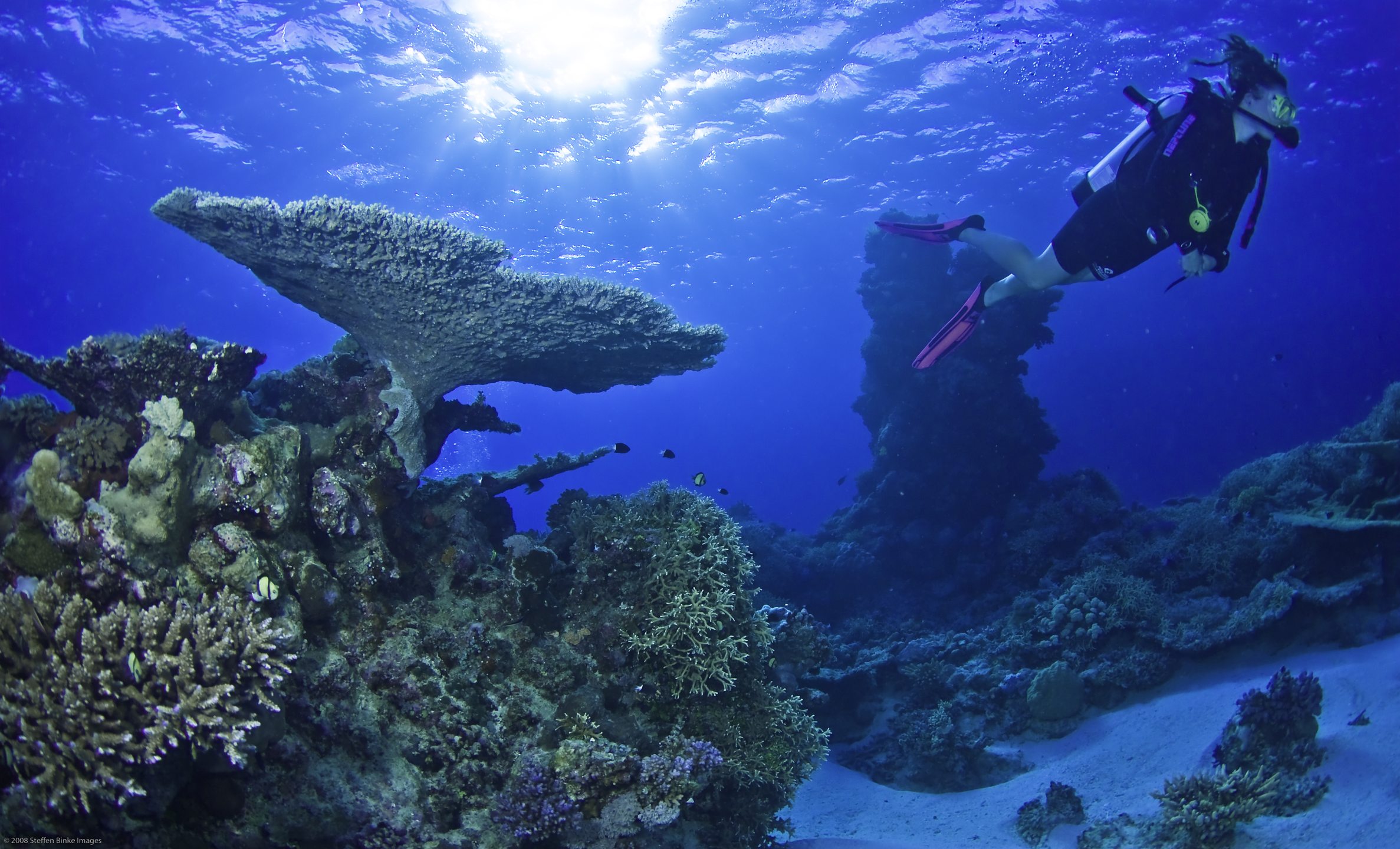 Coral Gardens photo 5