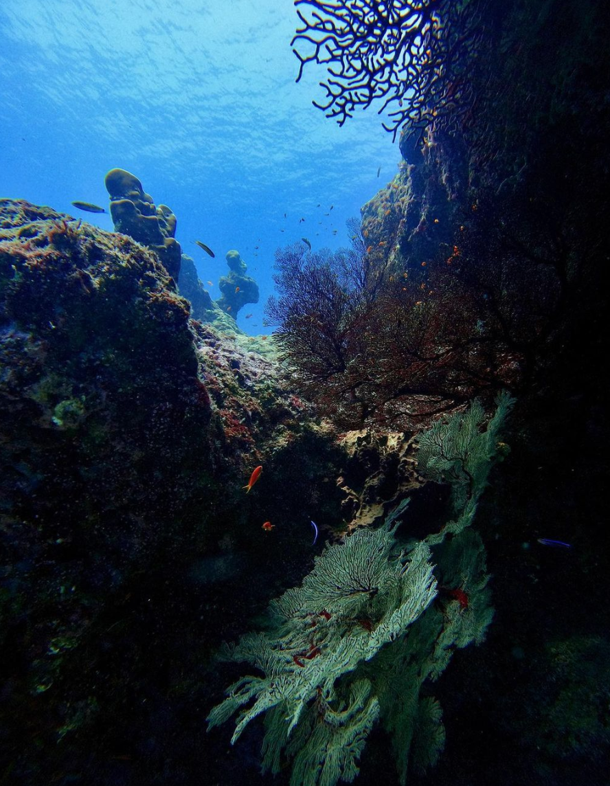 Broken Ledge
