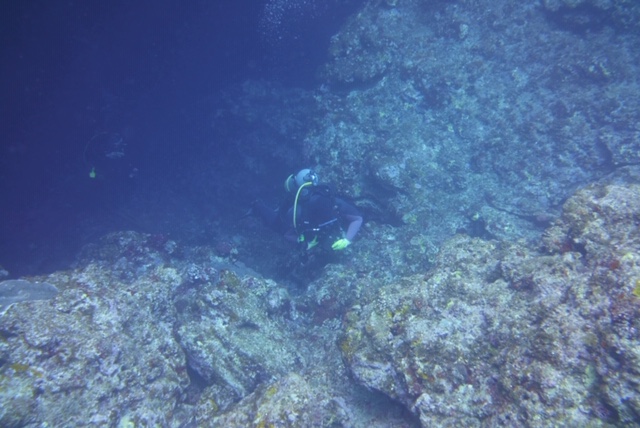 Cape Hedo Dome
