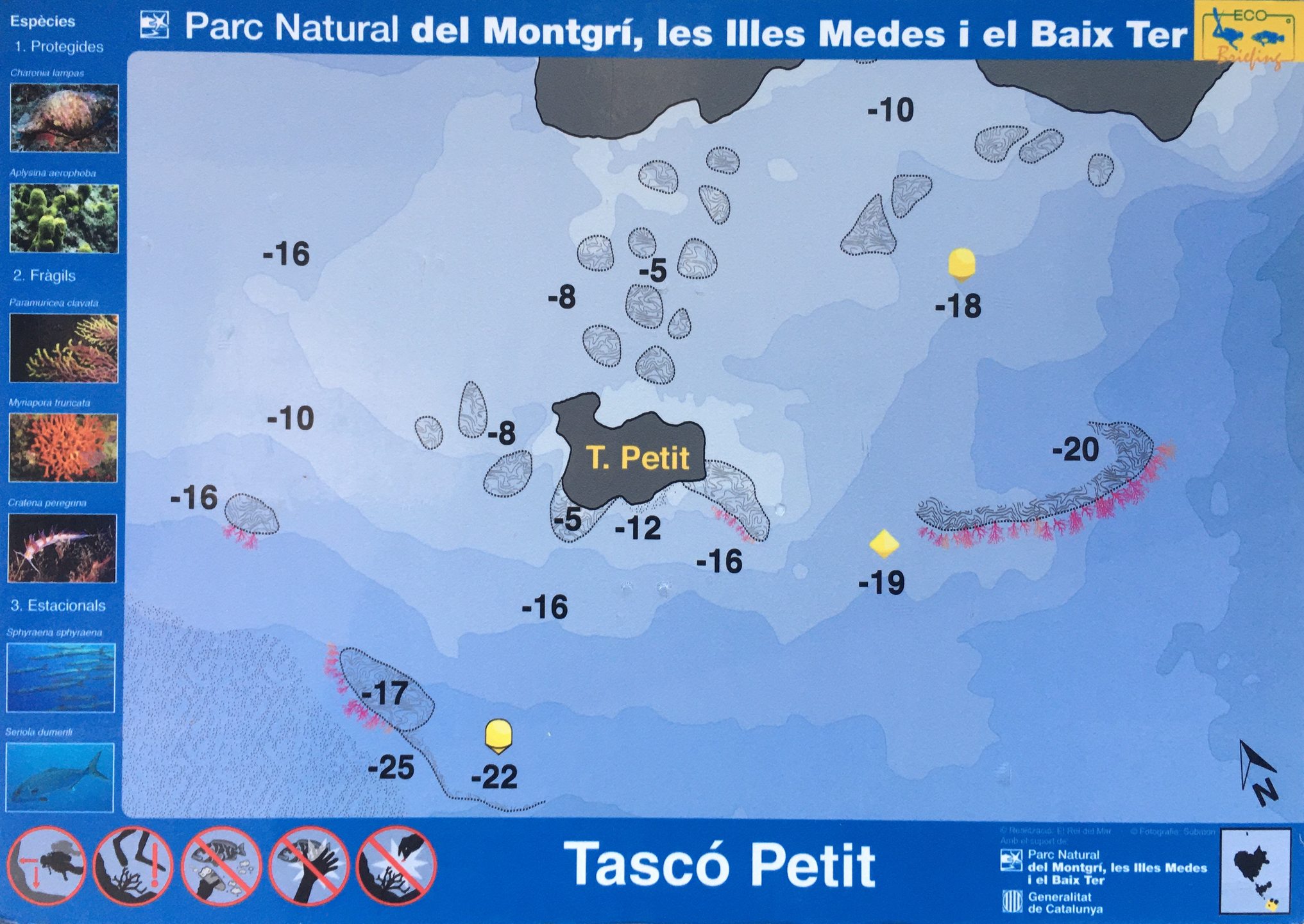 Tascó Petit