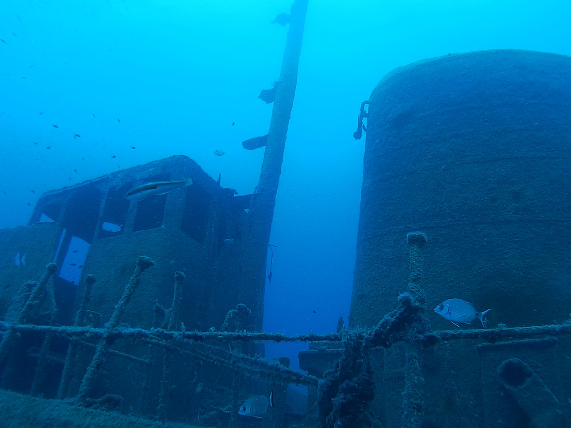 Tug Boat Rozi - Cirkewwa photo 4