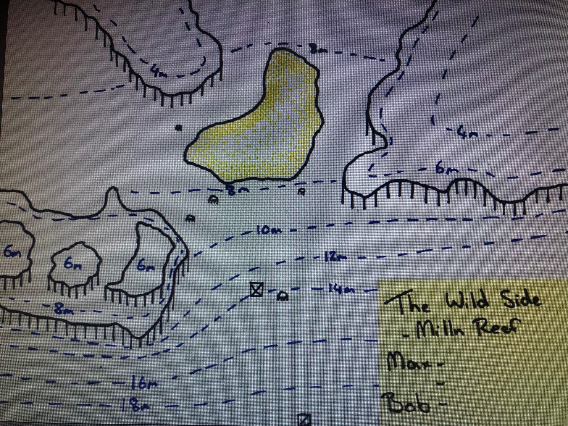 The Wild Side photo 21