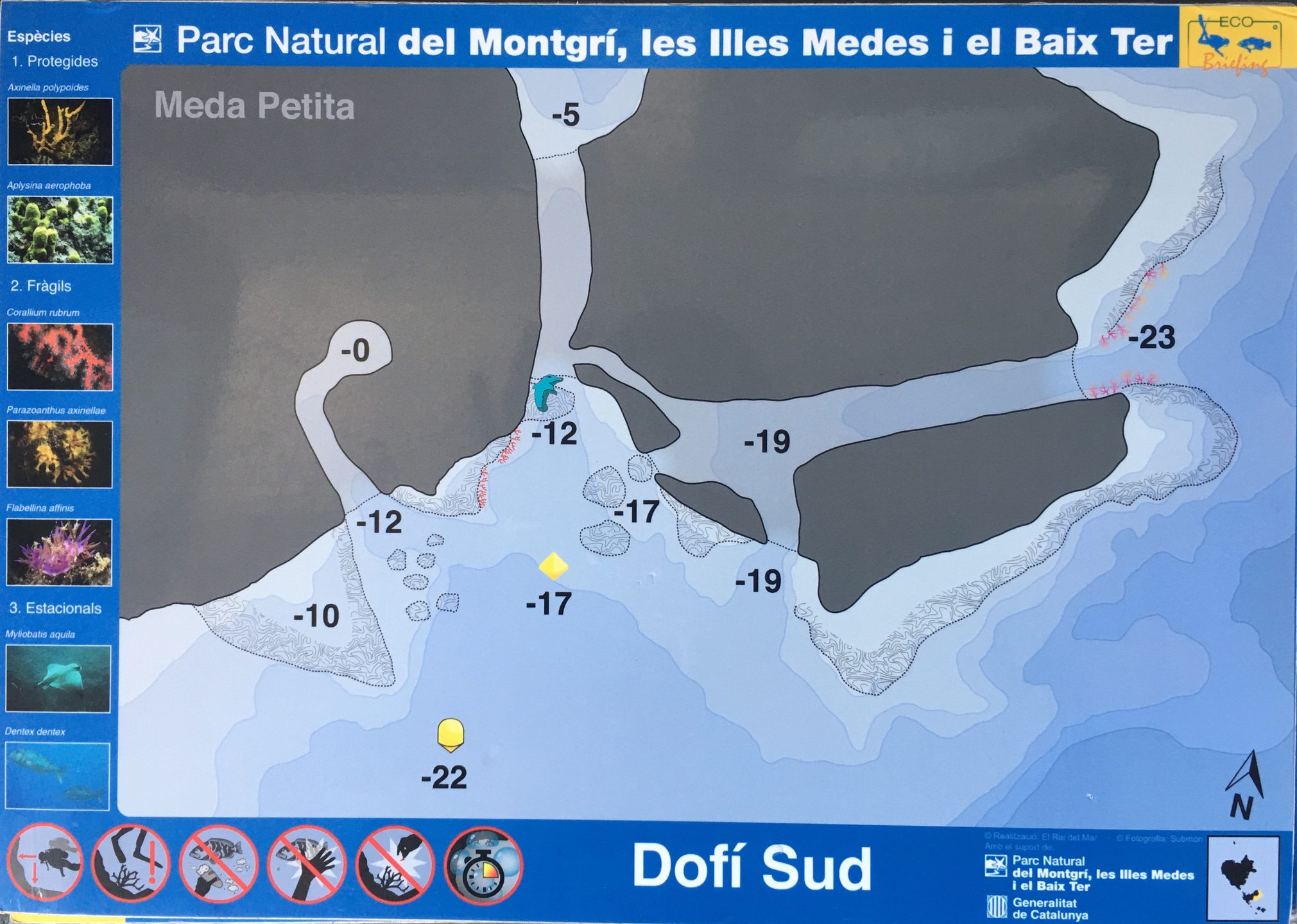 Dofí photo 4