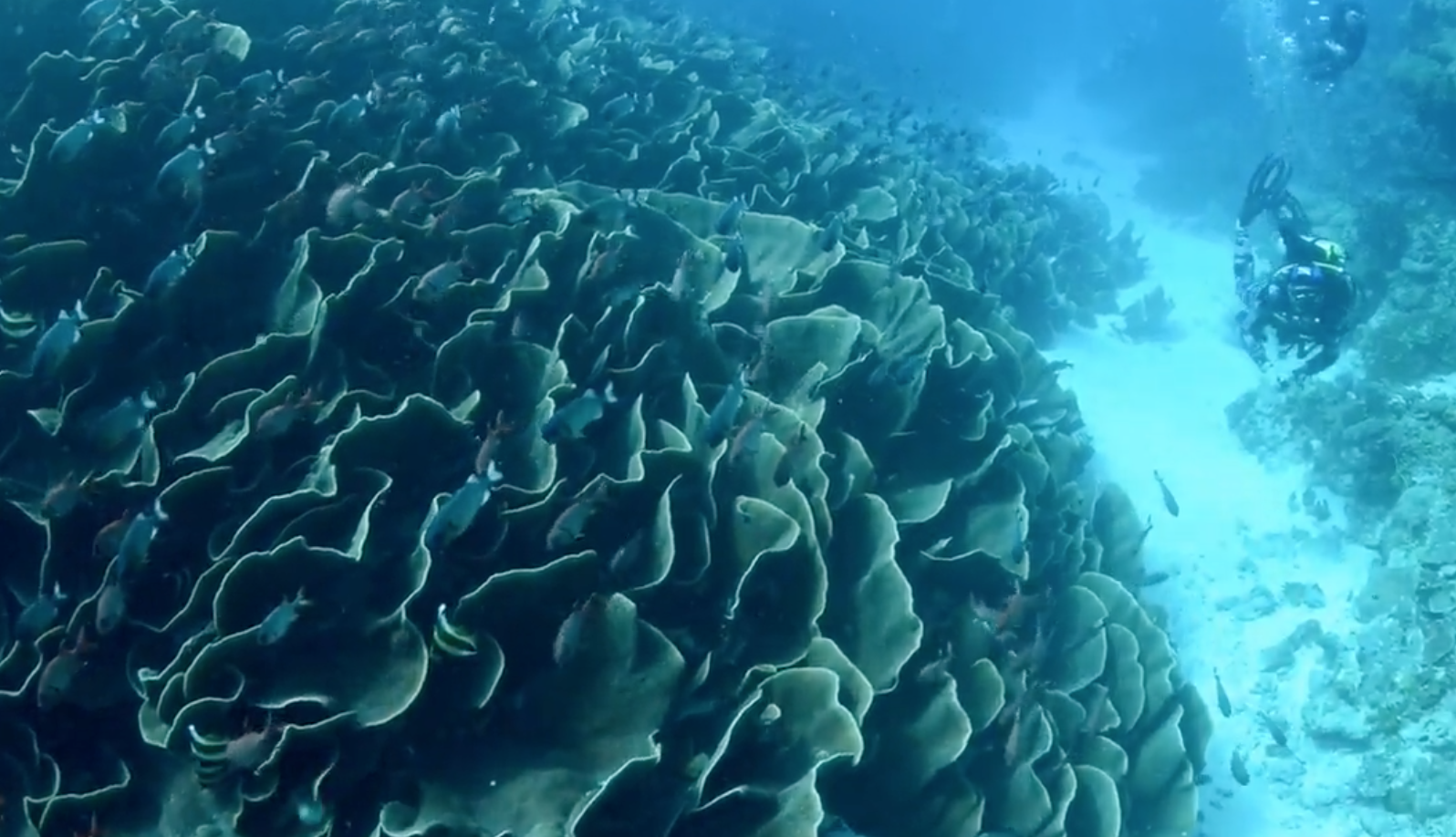 Ulong Channel photo 2