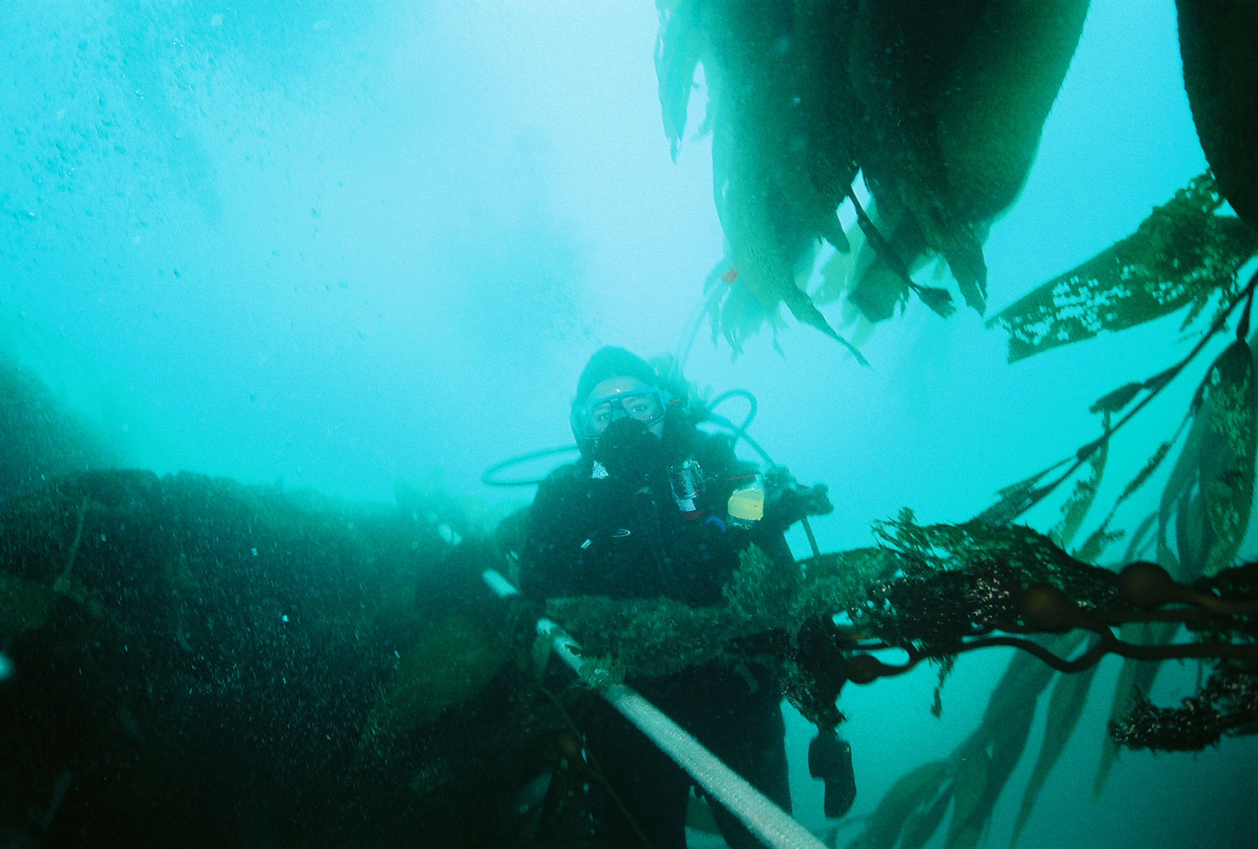 Numerous Monterey and Carmel Bay sites