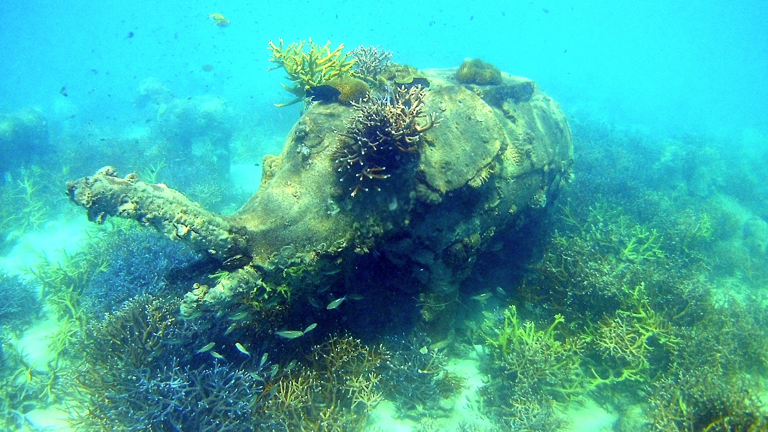 Koh Reath photo 5