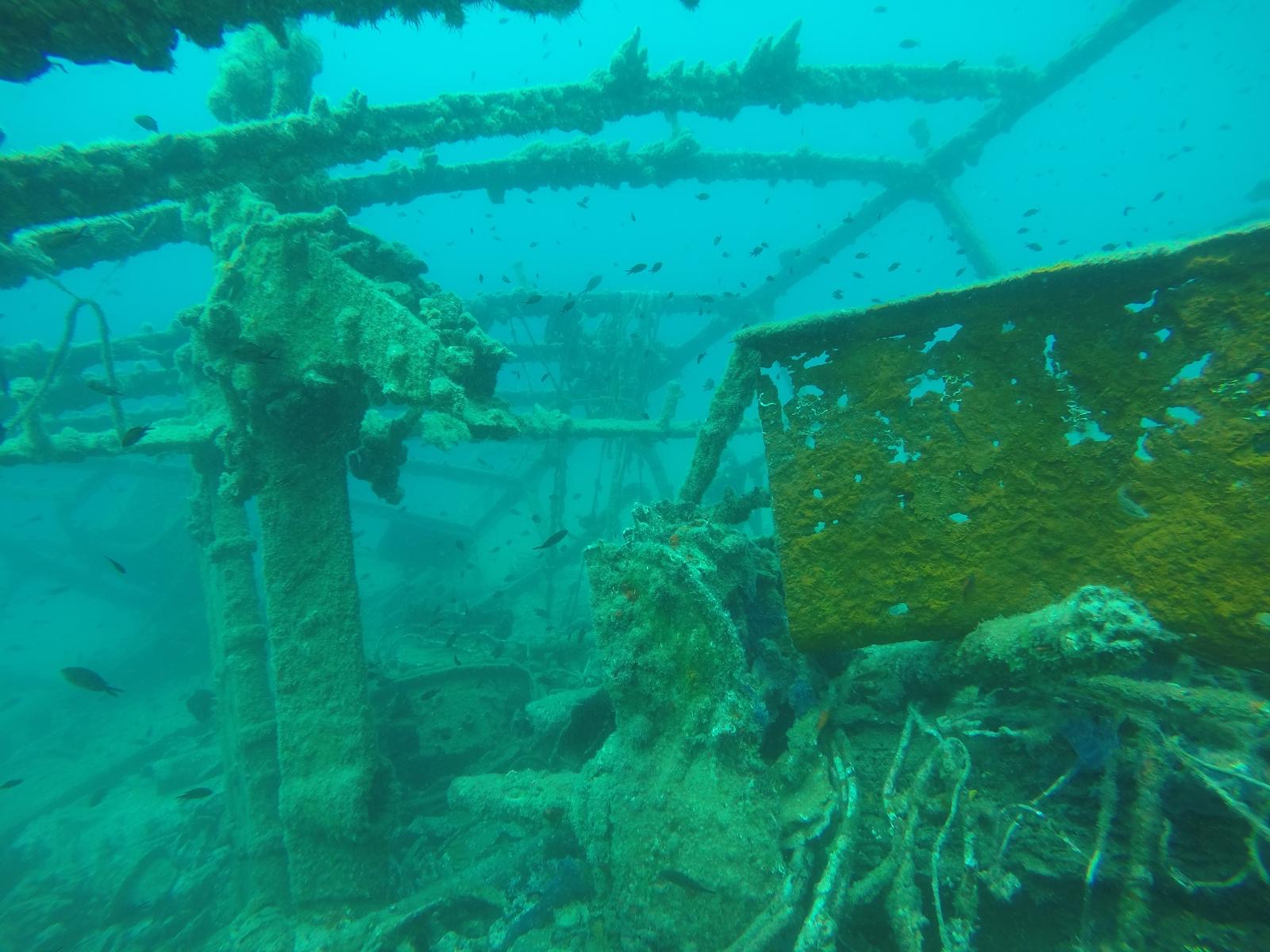 Medici Wreck