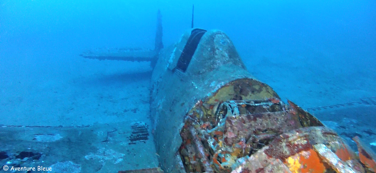 Hellcat (Grimman F6F)