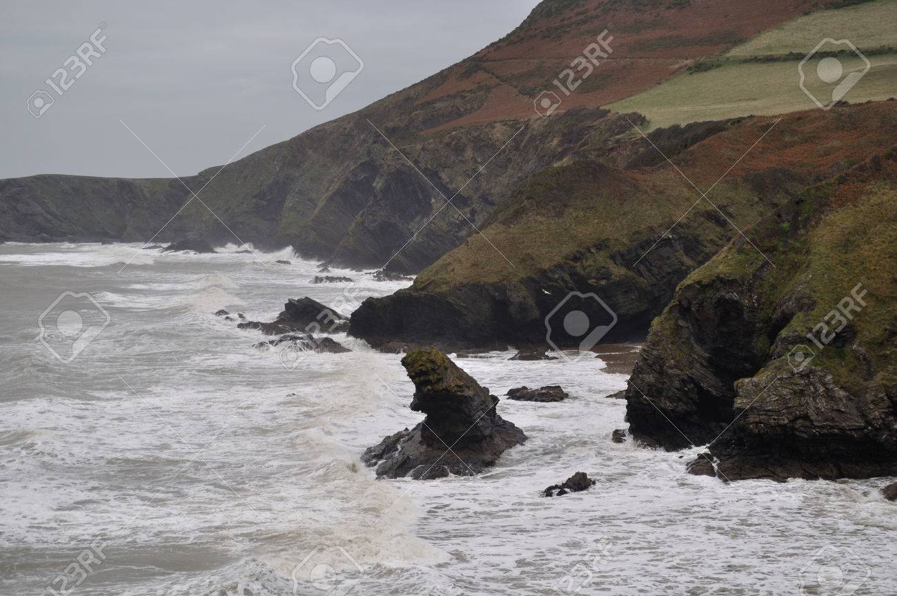 West Wales - Skomer Island photo 2