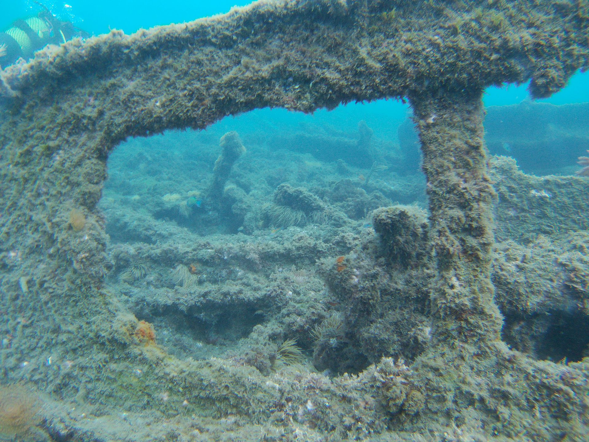 Barco del Arrroz photo 6
