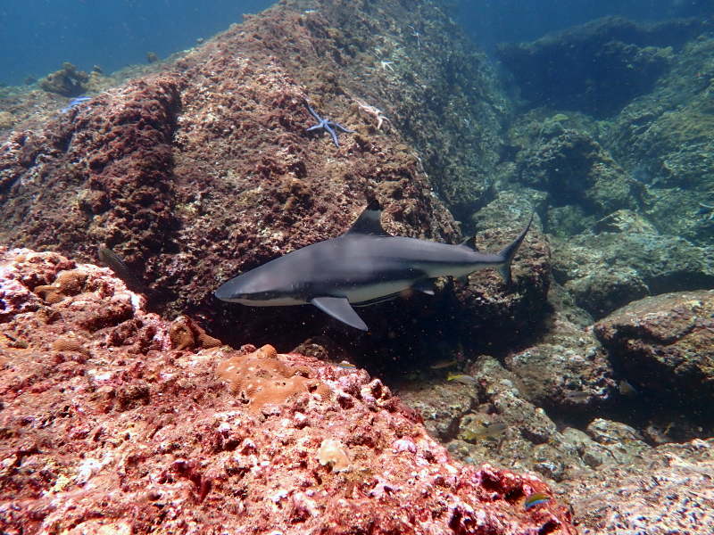 Koh Bida Nok photo 2