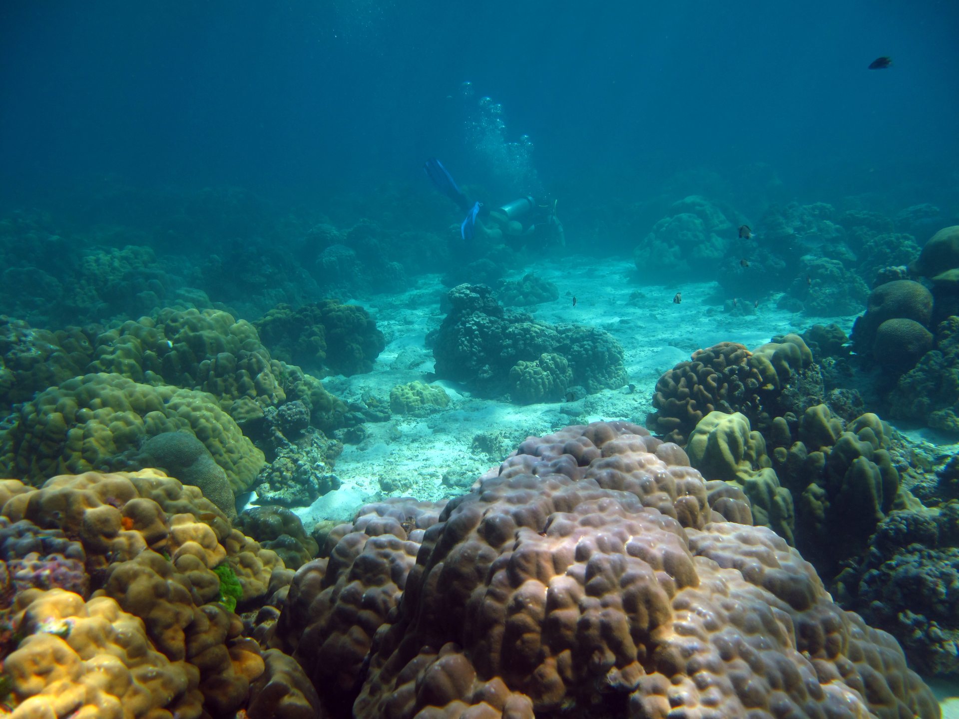 Koh Ha Lagoon