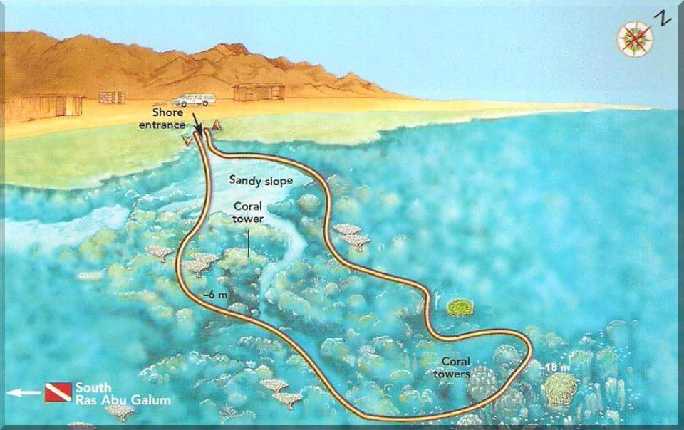 Ras Abu Galum North