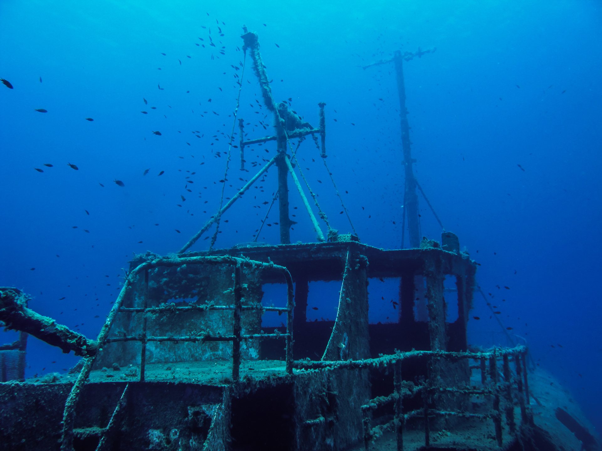 Nemesis wreck photo 2