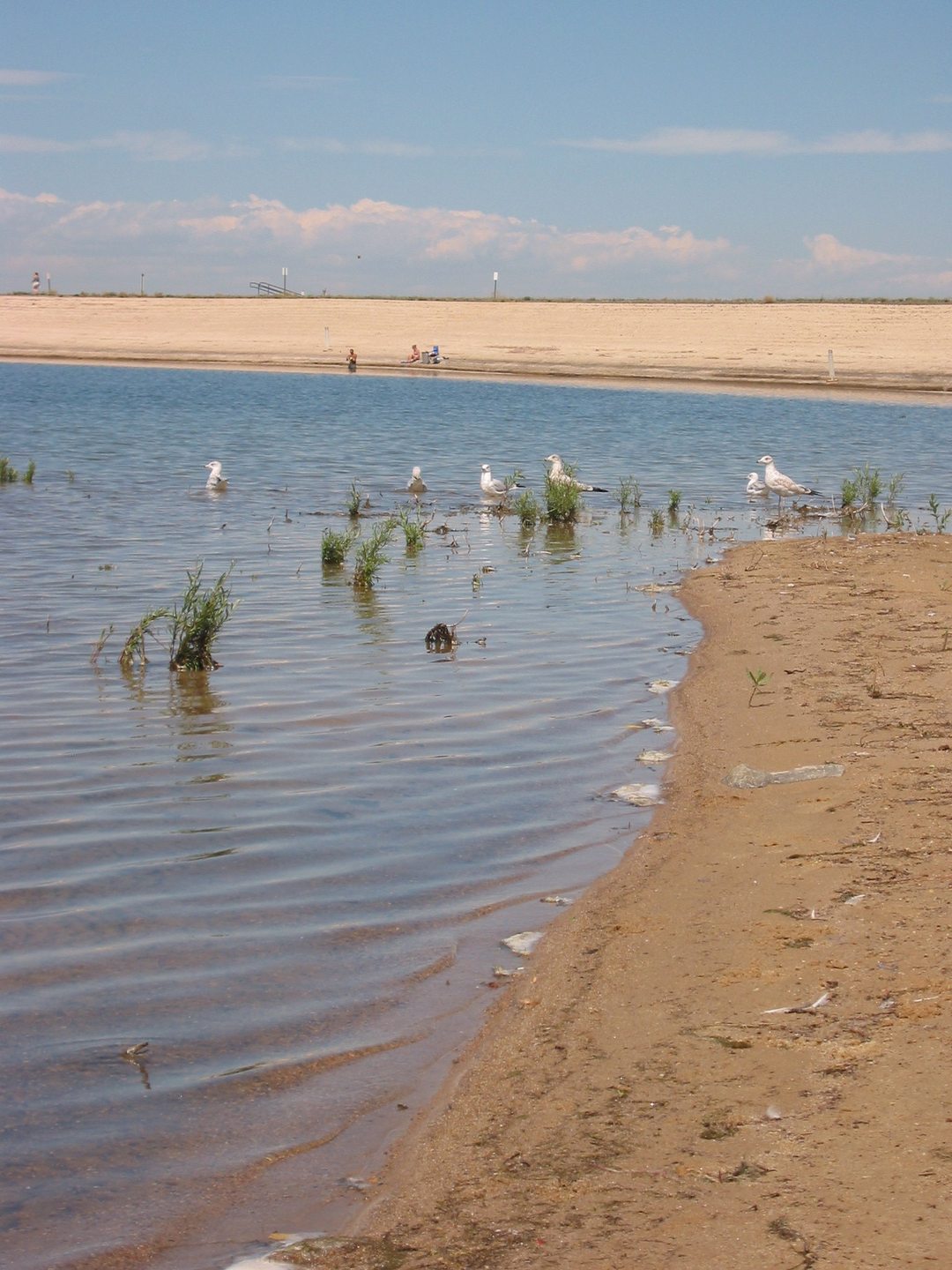 Aurora Reservoir photo 3
