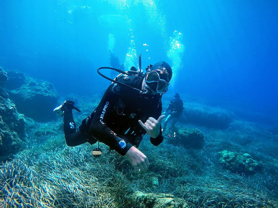 Airport Reef