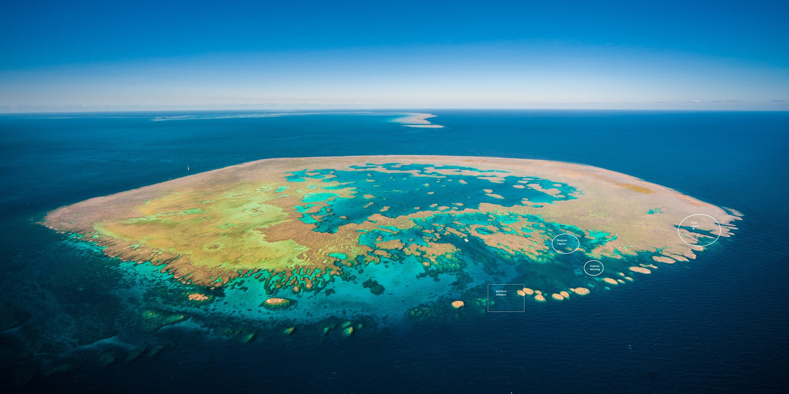Bait Reef