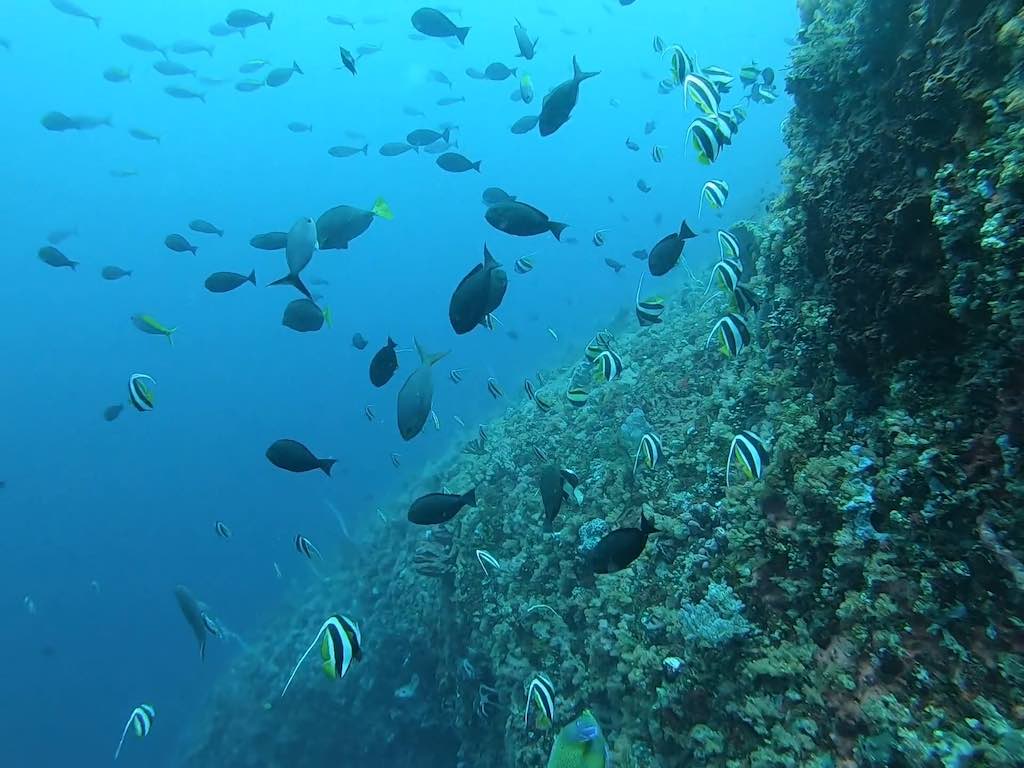 Batu Bolong photo 4