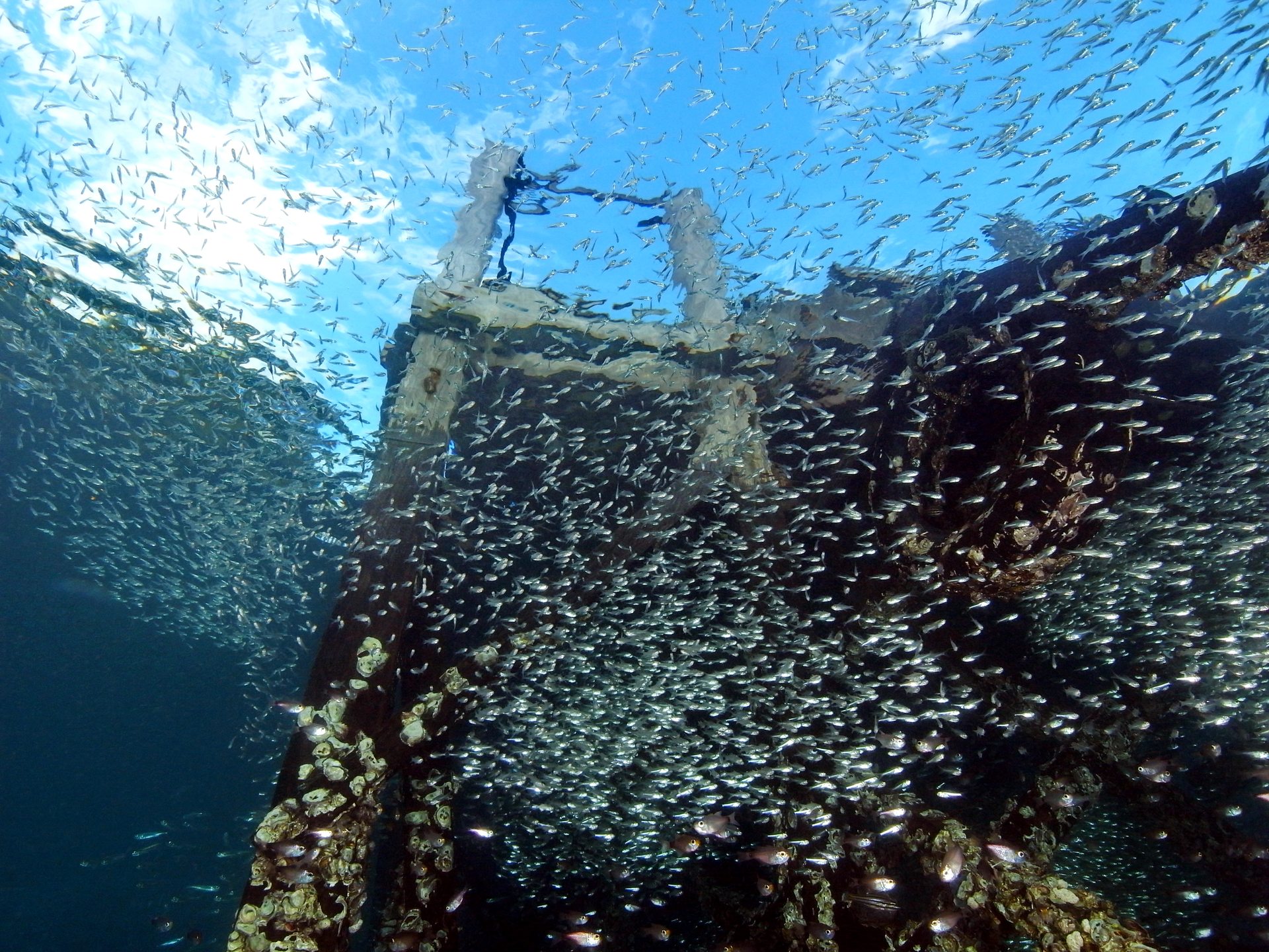 Secret Bay photo 3