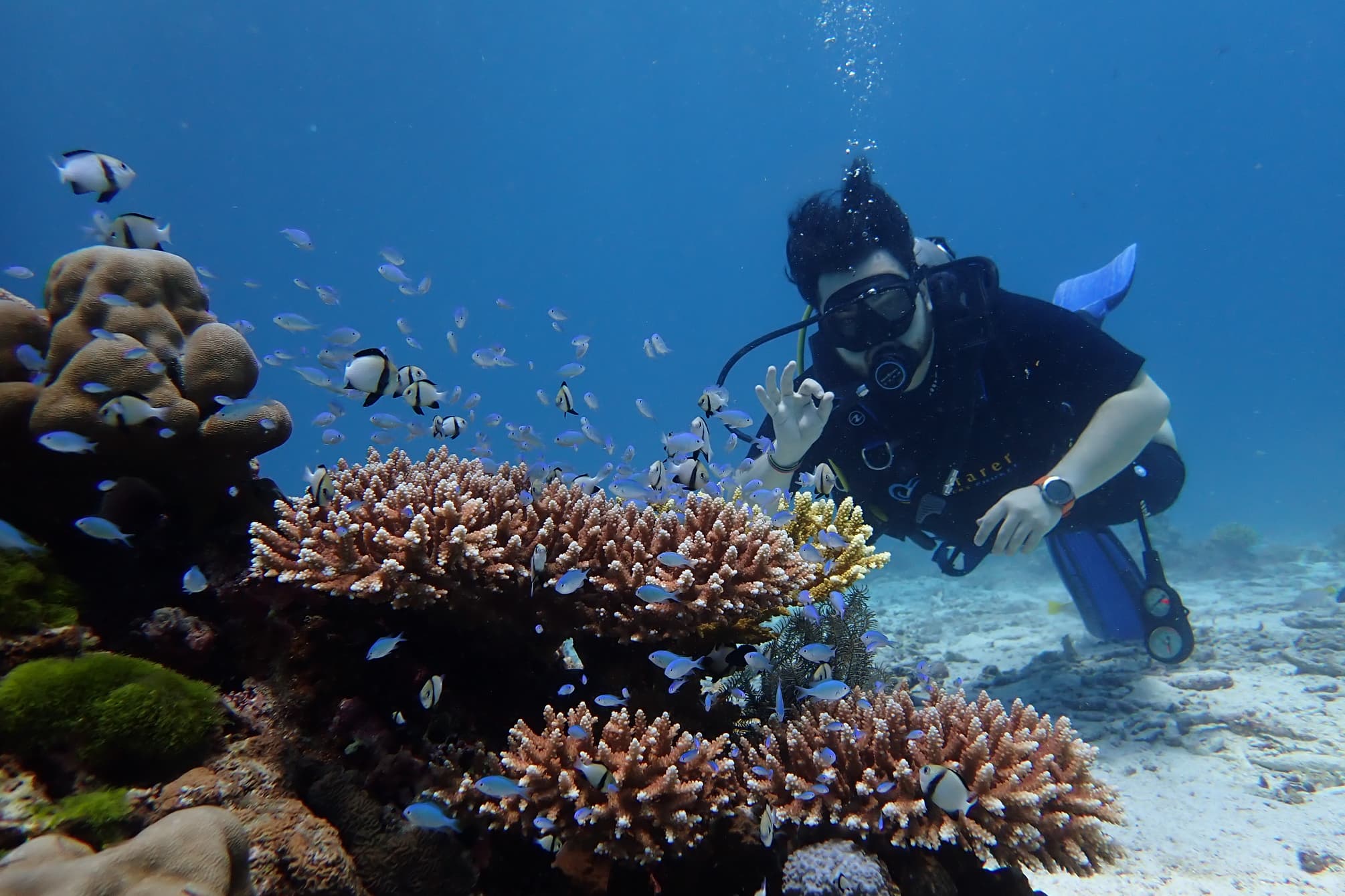 Koh Racha Yai Island photo 2