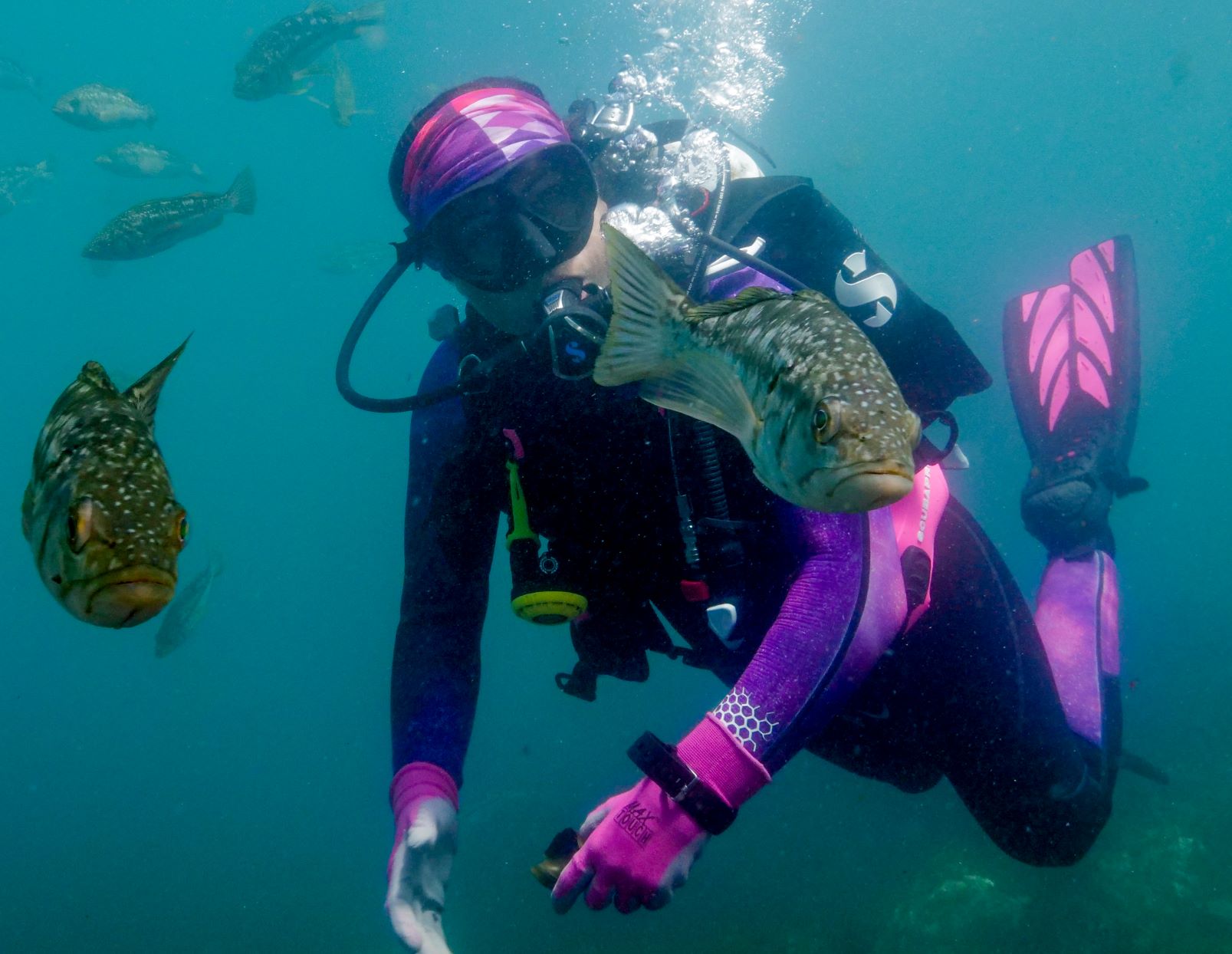 Casino Point Dive Park photo 2