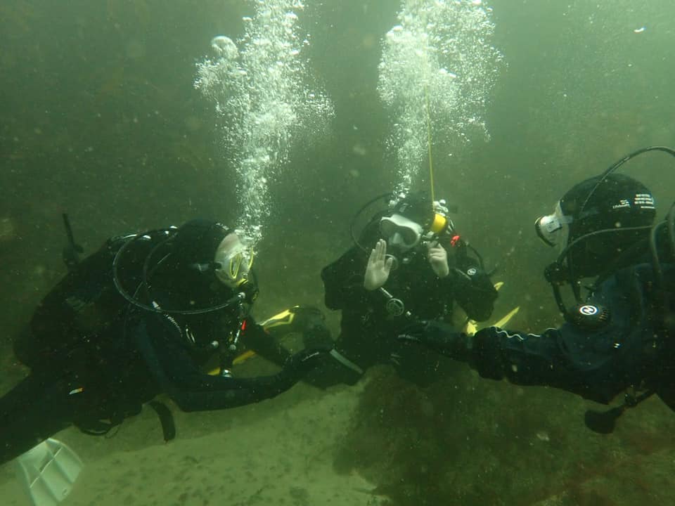 Nest Ends Gully