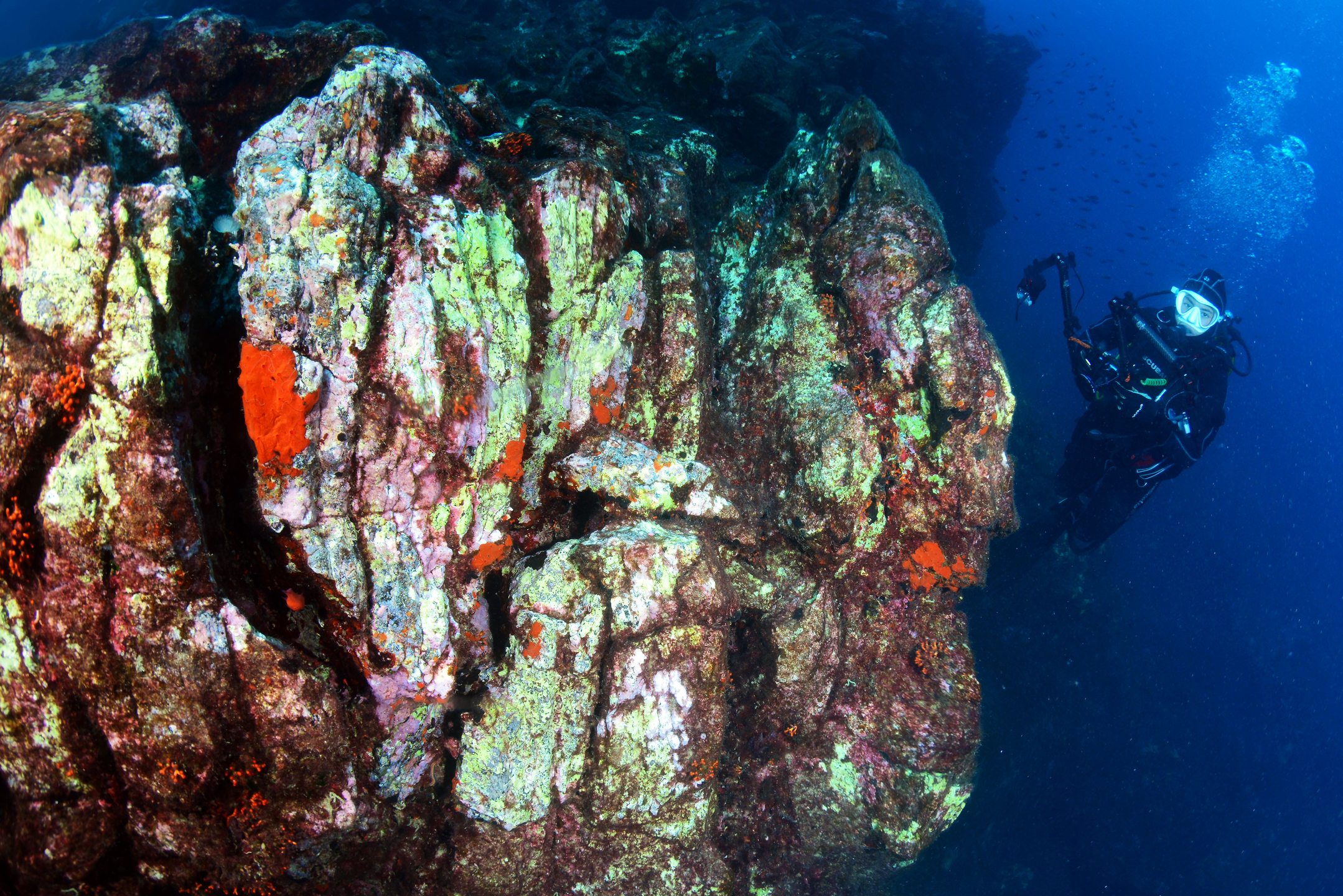 Pinnacoli photo 4