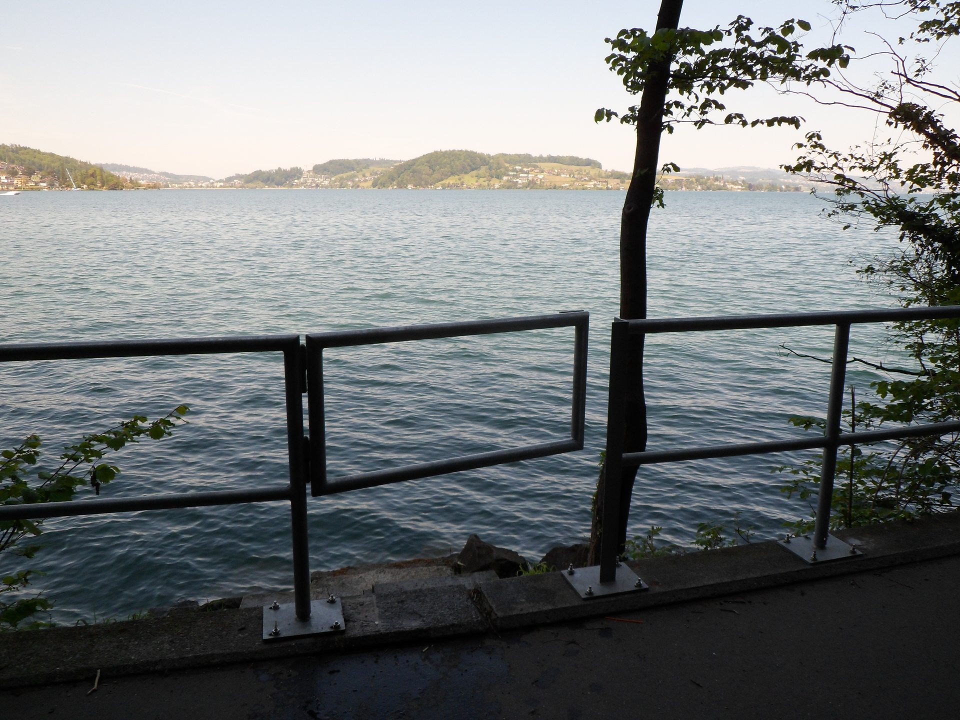 Lopper I Hergiswil
